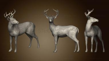 3D model Deer 2 (STL)